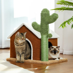 Maison à gratter pour chat en rotin et tissu. Cactus vert. Maison marron, toit blanc et deux chats qui sortent par chaque fenêtre.