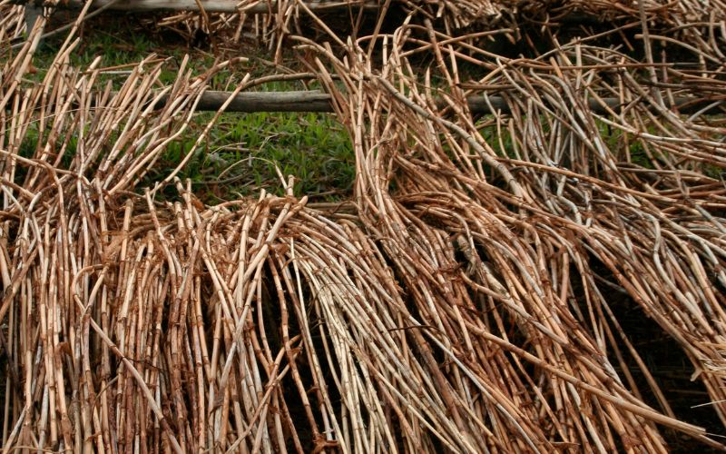 Combattre les idées reçues sur le rotin Combattre les idées reçues sur le rotin L'univers de la décoration d'intérieur combattre idees recues rotin5