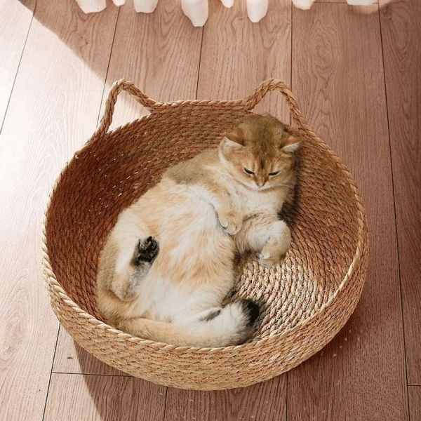 Panier Effet Rotin Respirant Style Lit pour Chat posé par terre avec un chat dedans