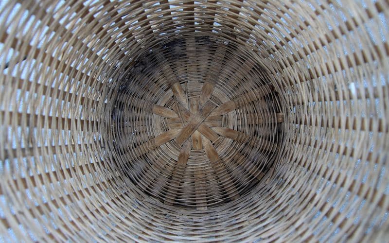 Le rotin à travers les époques : Une rétrospective Le rotin à travers les époques : Une rétrospective L'univers de la décoration d'intérieur rotin travers epoques retrospective 5