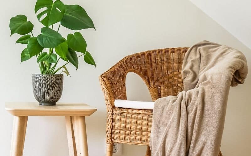 Fauteuil en rotin couleur naturelle, avec un coussin à l'assise, un plaid beige posé sur l'accoudoir et le dossier, à côté d'une petite table ronde en bois sur laquelle est posée une plante verte.