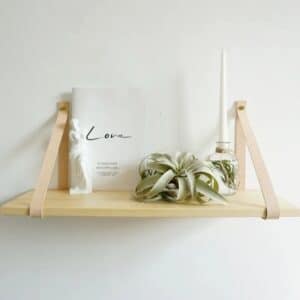 Étagère Bois Pratique et Élégante installée sur un mur avec pot de fleur dessus