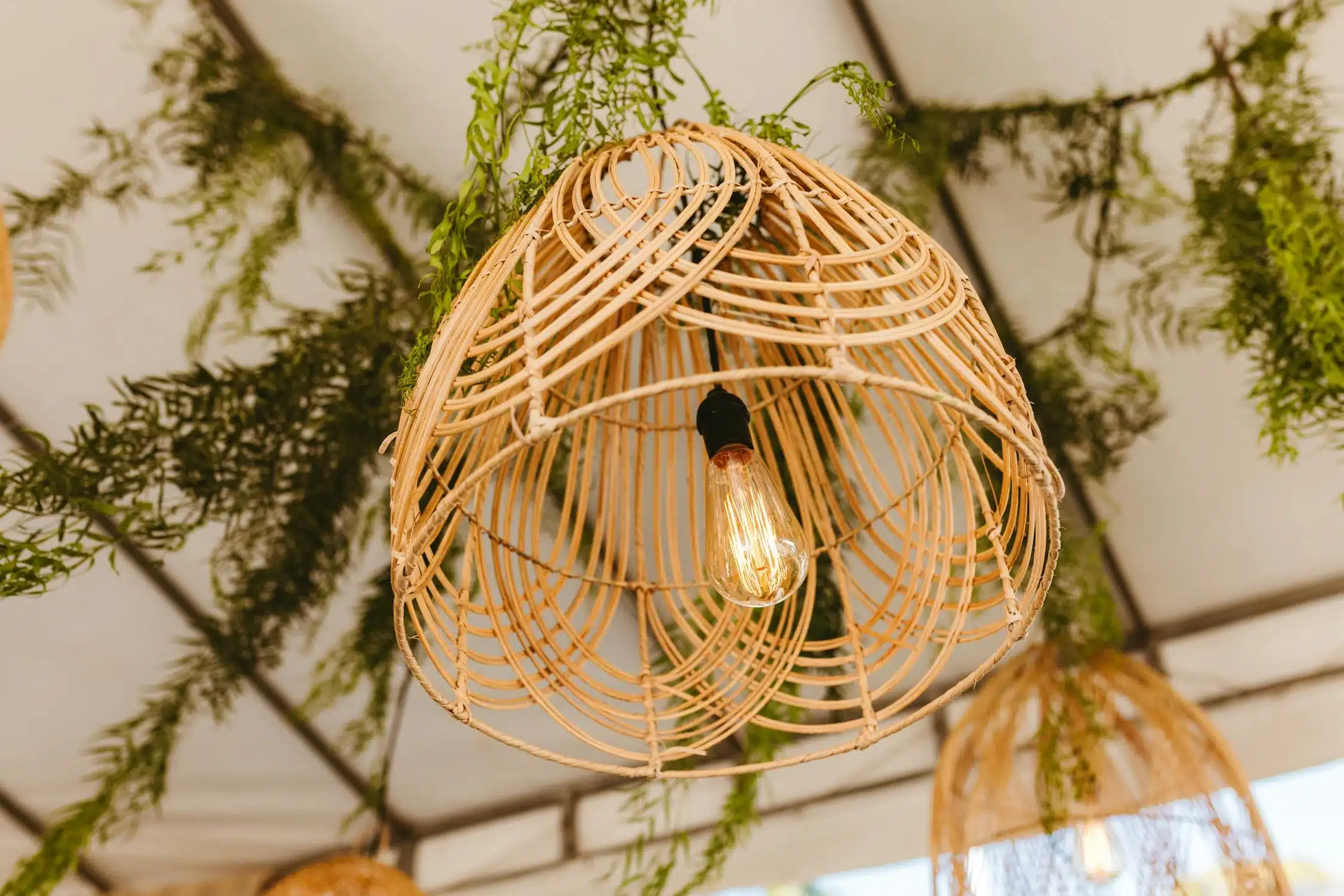 Lampe en rotin : Pourquoi elle fait son grand retour dans nos intérieurs ? suspension en rotin avec ampoule design vu d'en bas, avec des plantes verte en arrière plan au plafond